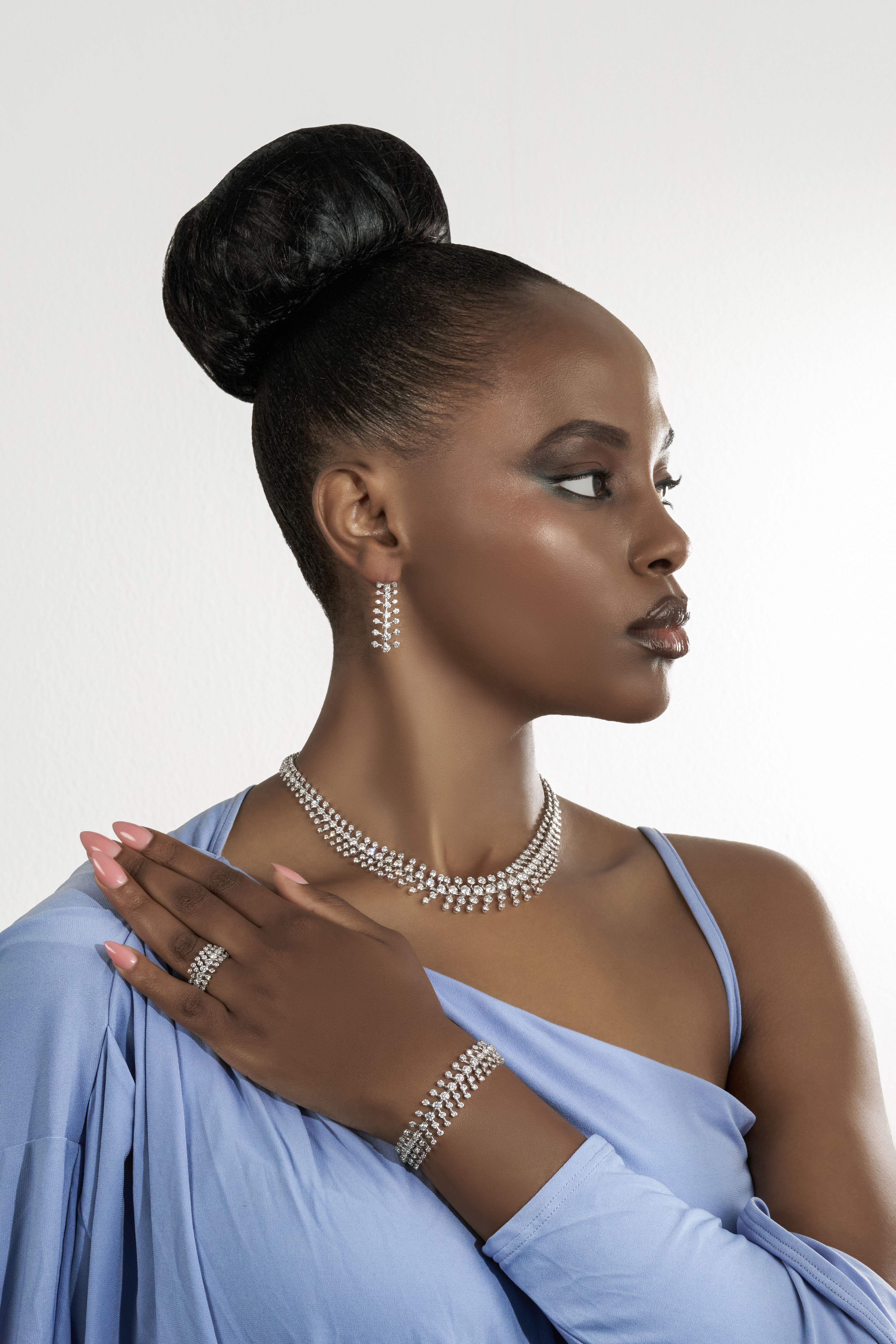 The Vertebrae Set